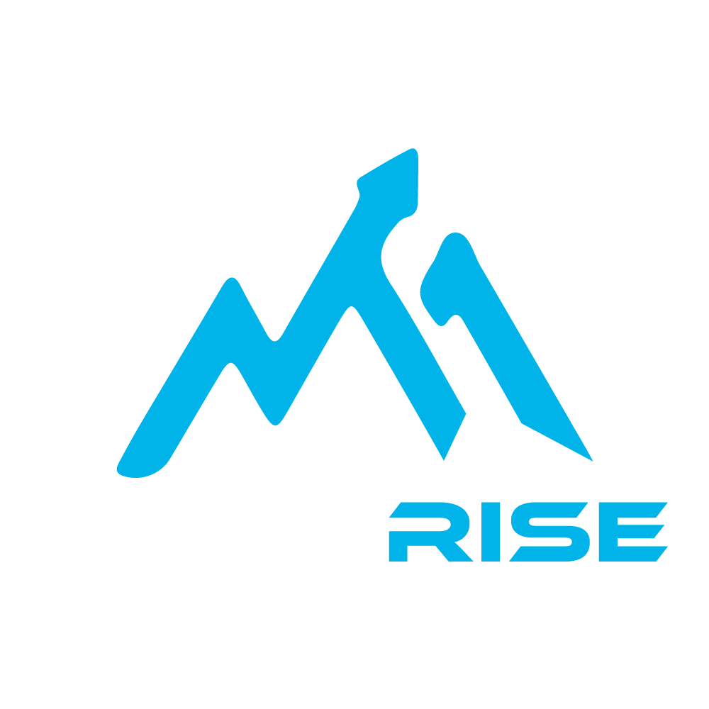 RiseTrack Logo